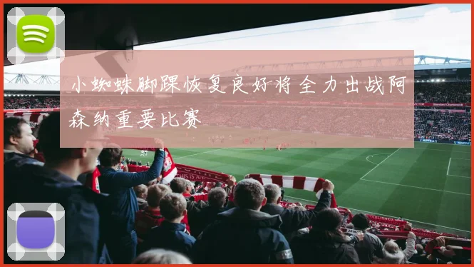 小蜘蛛脚踝恢复良好将全力出战阿森纳重要比赛