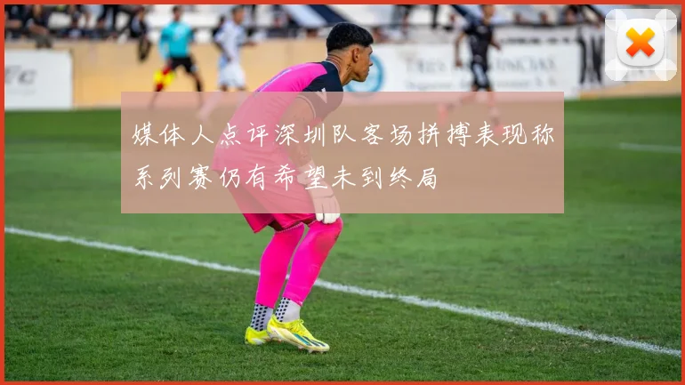 媒体人点评深圳队客场拼搏表现称系列赛仍有希望未到终局